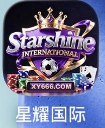 星耀国际