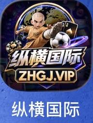 纵横国际